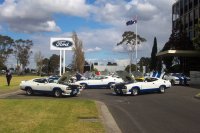 Falcon Cobra - celebrating 25 years